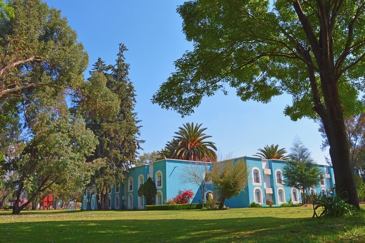 Img - Estándar