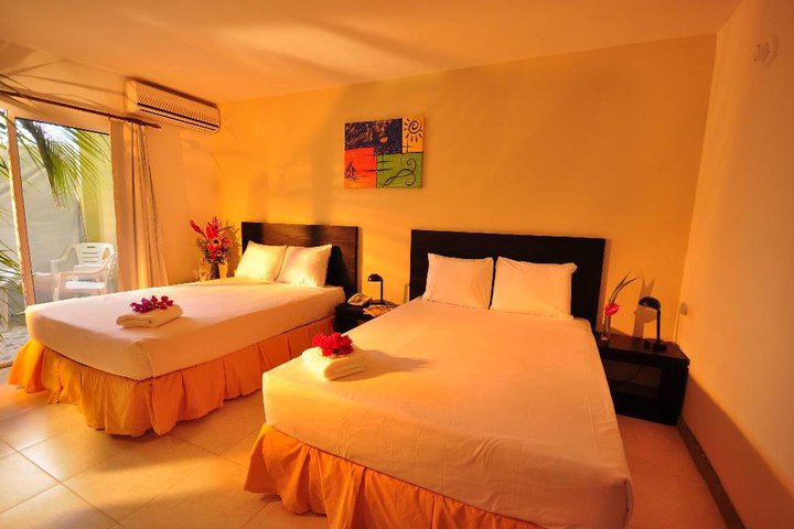 Img - CHÁRTER desde BOGOTÁ 7 noches - estándar