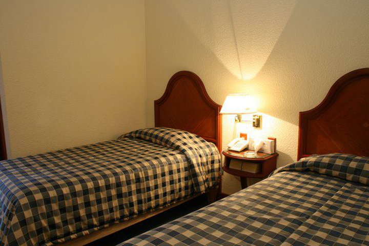 Img - Estándar