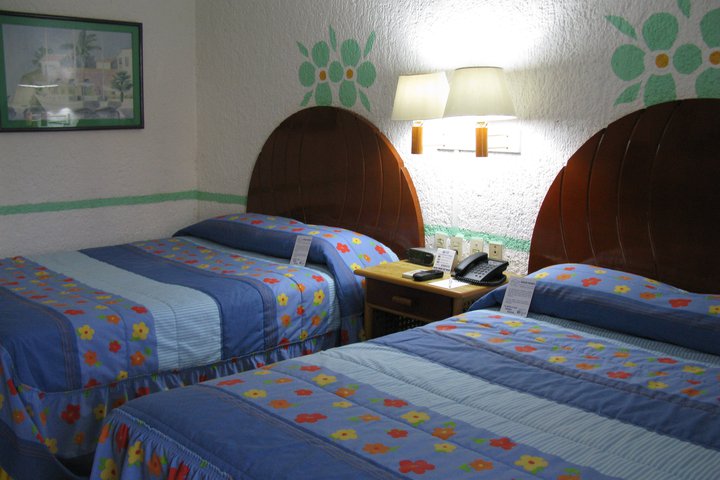 Img - Estándar
