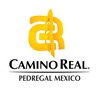 ? HotelDetail_LogoAlt Camino Real Pedregal logo