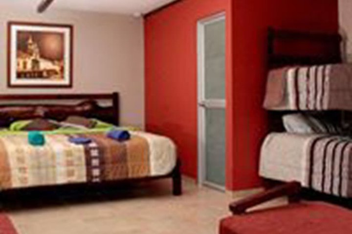 Img - Habitación doble (Tree Room)
