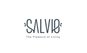 ? HotelDetail_LogoAlt Salvio Parque 93 logo
