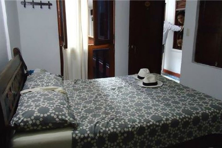 Img - Estándar individual