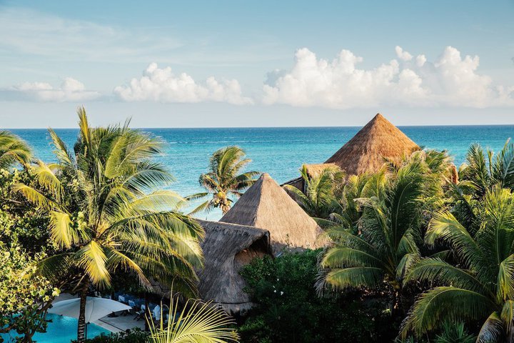 Img - Suite jardín