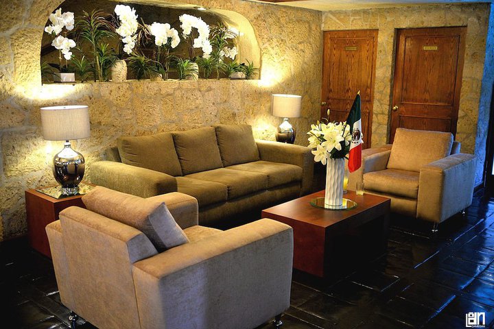 Img - Estándar