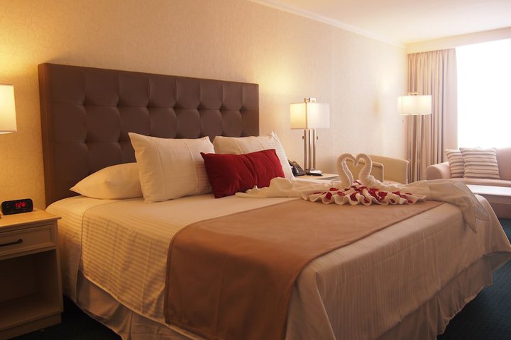 Img - Habitación Deluxe, 1 cama de matrimonio grande