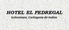 ? HotelDetail_LogoAlt Hotel El Pedregal logo