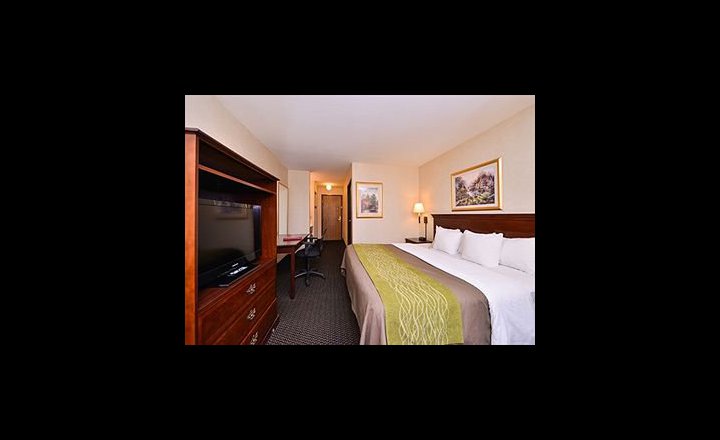 Comfort Inn Garden City Hotel United States Of America Pricetravel