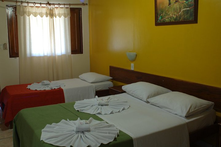Img - Estándar