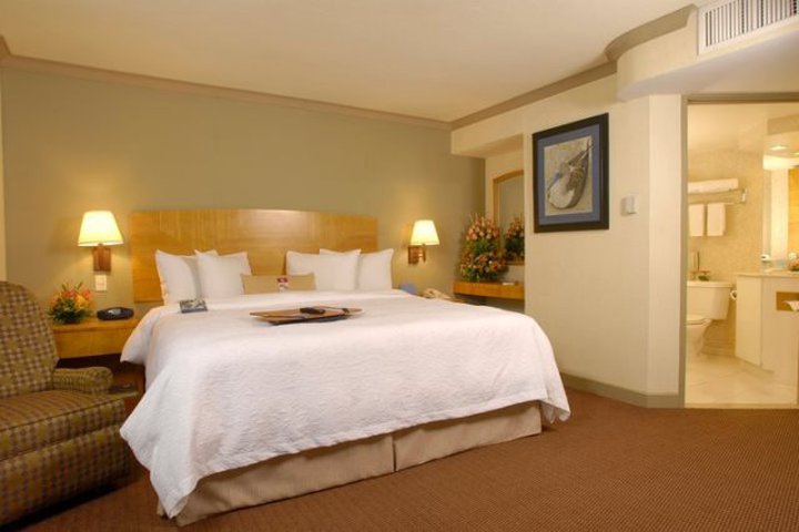 Img - Habitación estándar, matrimonial grande