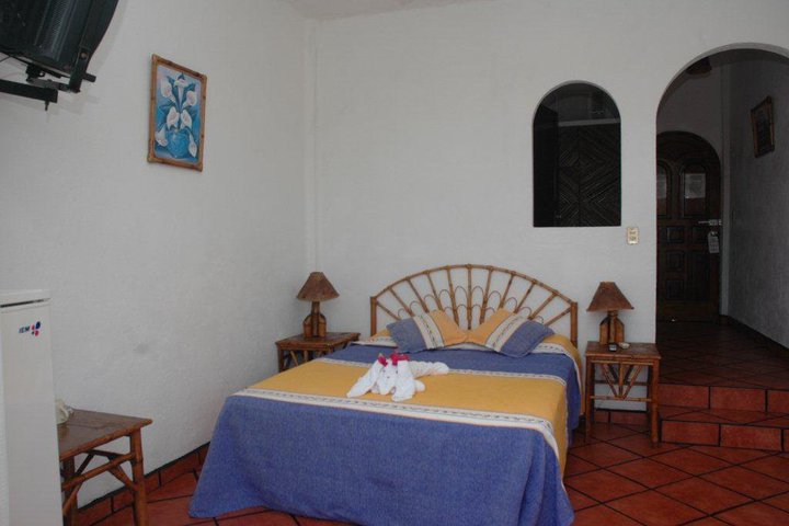 Img - Estándar