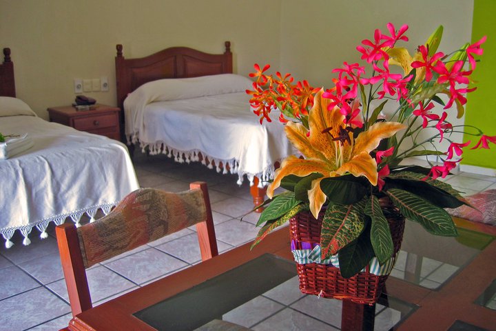 Img - Estándar