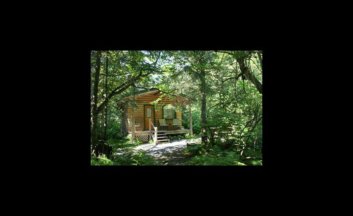 Alaska Creekside Cabins Hotel Seward United States Of America