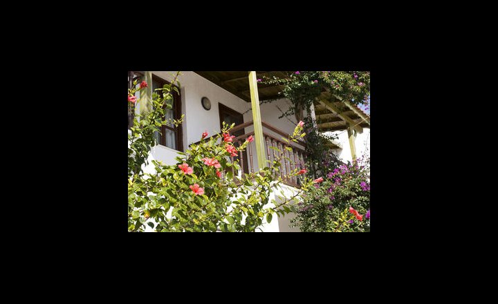 Delfi Hotel Spa Bodrum Turkey Pricetravel