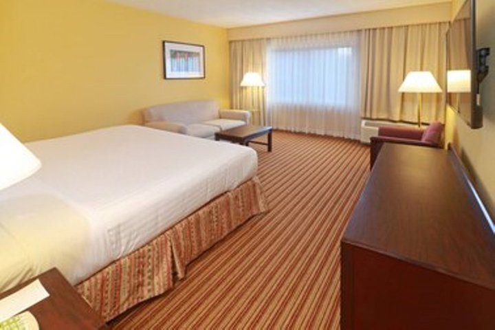 Img - Suite