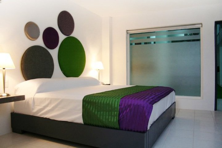 Img - Estándar