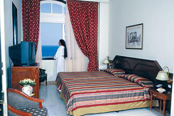 Img - Estándar