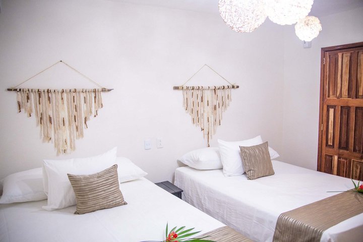 Img - Estándar