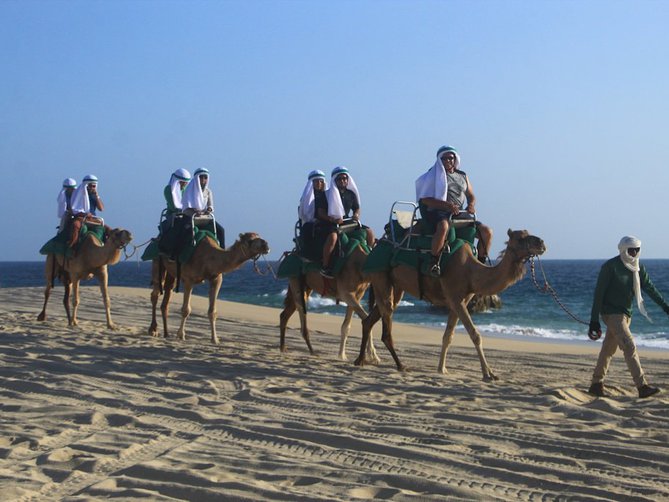 Paseo en Camello en Los Cabos