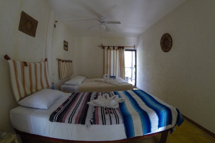 Img - Habitación estándar con 2 camas individuales, 2 camas individuales