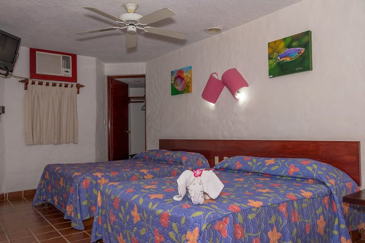 Img - Estándar vista al jardín