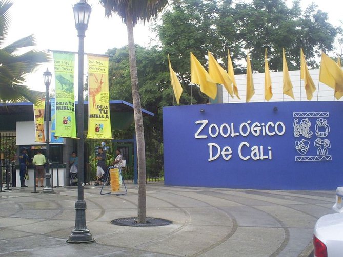 Visita al Zoológico de Cali