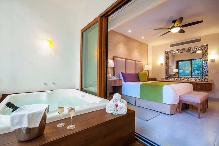 Img - Estándar suite