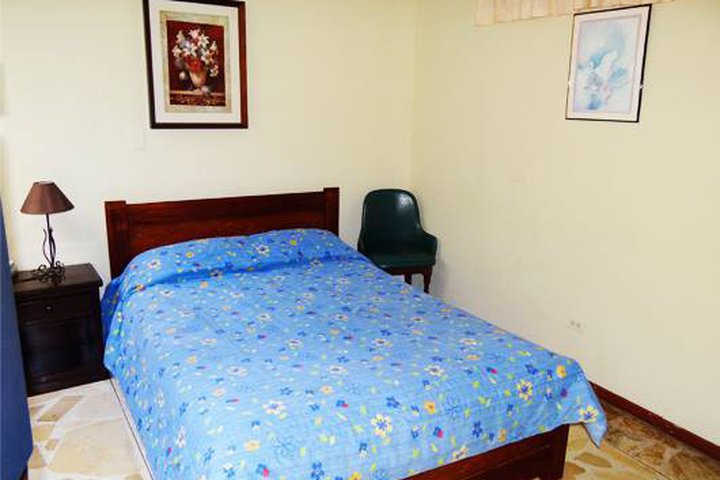 Img - Estándar