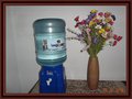 ? HotelDetail_LogoAlt Hostelling Bustillo logo