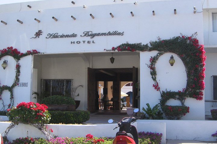 Img - Doble