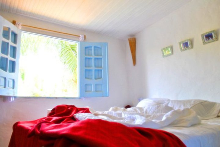 Img - Estándar